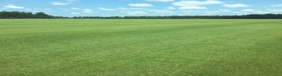 Contact Us Squires Turf And The Sod Farm In Aynor Sc - Sod Farm Indiana Contact Us Squires Turf And The Sod Farm In Aynor Sc - Sod Farm Indiana