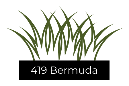 See 419 Bermuda turfgrass