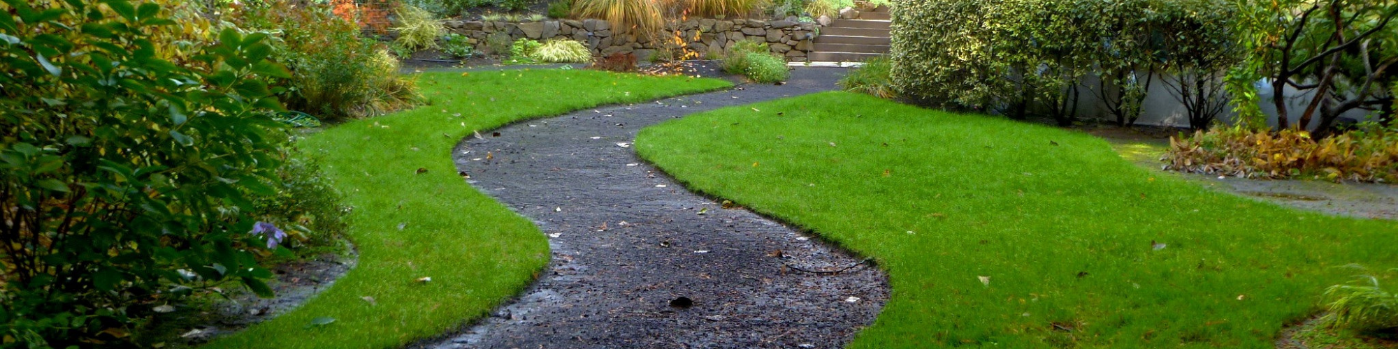 residential lawn featuring darker green grass