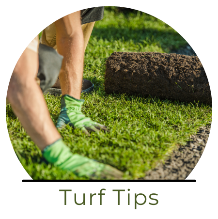 See our Turf Tips